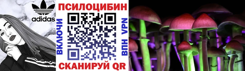 Псилоцибиновые грибы Magic Shrooms  Купить где  Хадыженск 